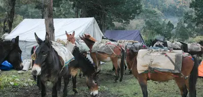 Galerie